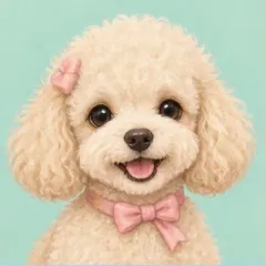 Poodle card