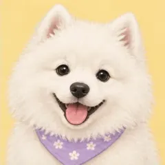 Samoyed card