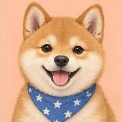 Shiba Inu card